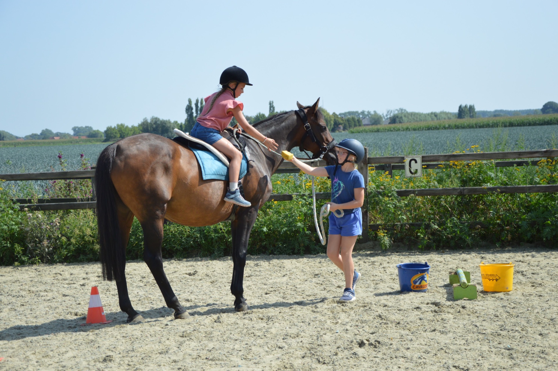 Ponykamp Zomer