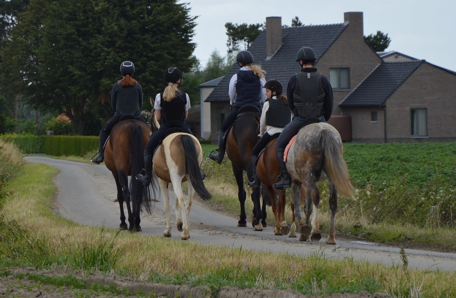 Bostocht