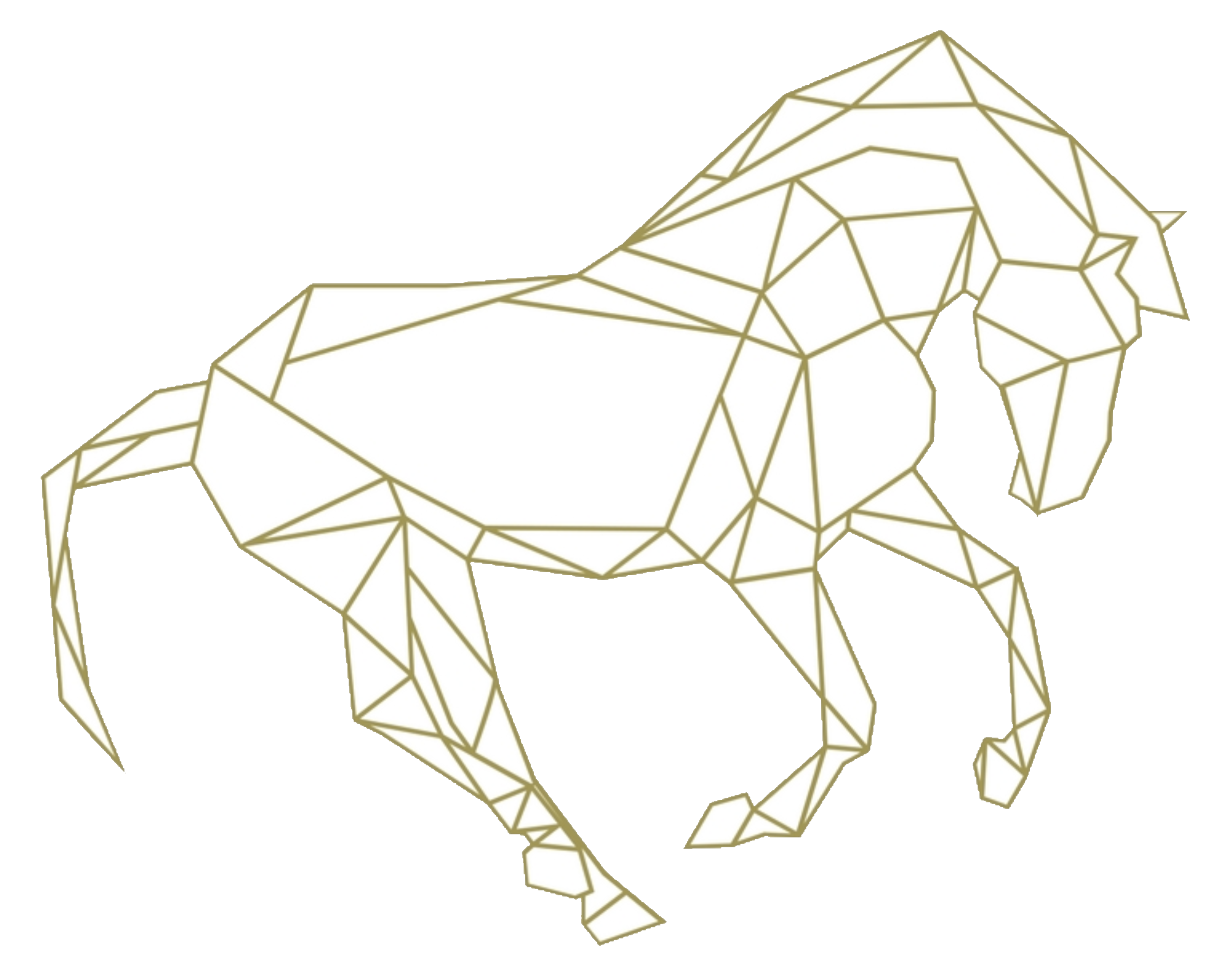 Logo De Jonghe Pony
